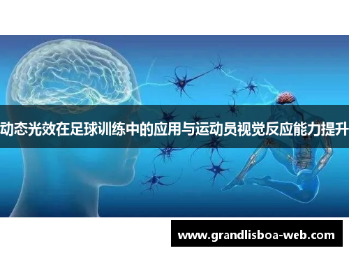 动态光效在足球训练中的应用与运动员视觉反应能力提升